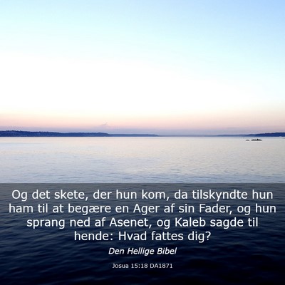 Picture 03 - Josua 15:18 DA1871 - Og det skete, der hun kom, da tilskyndte hun ham - Bible Verse Picture