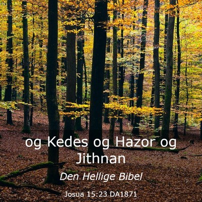 Picture 03 - Josua 15:23 DA1871 - og Kedes og Hazor og - Bible Verse Picture