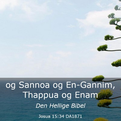 Picture 03 - Josua 15:34 DA1871 - og Sannoa og En-Gannim, Thappua og - Bible Verse Picture