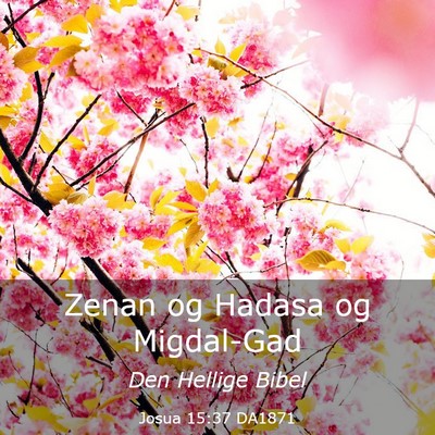 Picture 03 - Josua 15:37 DA1871 - Zenan og Hadasa og - Bible Verse Picture