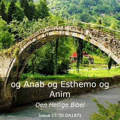 Picture 03 - Josua 15:50 DA1871 - og Anab og Esthemo og - Bible Verse Picture