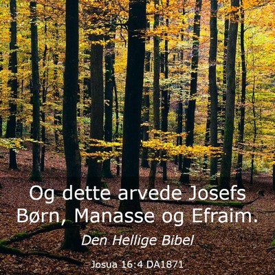 Picture 03 - Josua 16:4 DA1871 - Og dette arvede Josefs Børn, Manasse og - Bible Verse Picture