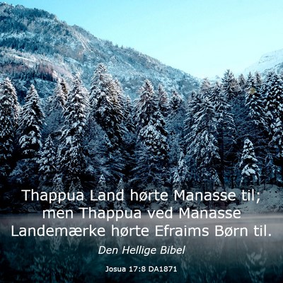 Picture 03 - Josua 17:8 DA1871 - Thappua Land hørte Manasse til; men Thappua ved - Bible Verse Picture