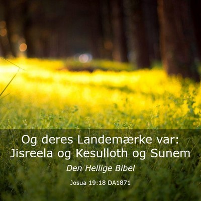 Picture 03 - Josua 19:18 DA1871 - Og deres Landemærke var: Jisreela og Kesulloth - Bible Verse Picture