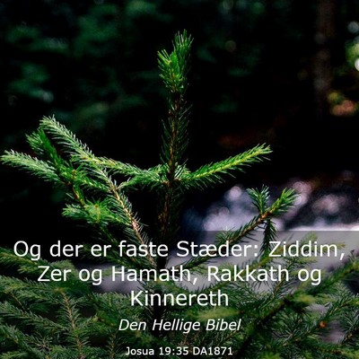 Picture 03 - Josua 19:35 DA1871 - Og der er faste Stæder: Ziddim, Zer og Hamath, - Bible Verse Picture