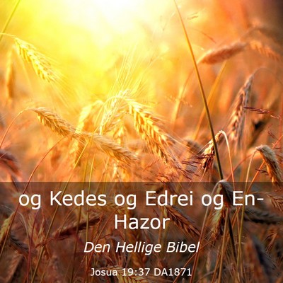 Picture 03 - Josua 19:37 DA1871 - og Kedes og Edrei og - Bible Verse Picture