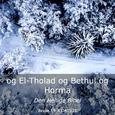 Picture 03 - Josua 19:4 DA1871 - og El-Tholad og Bethul og - Bible Verse Picture