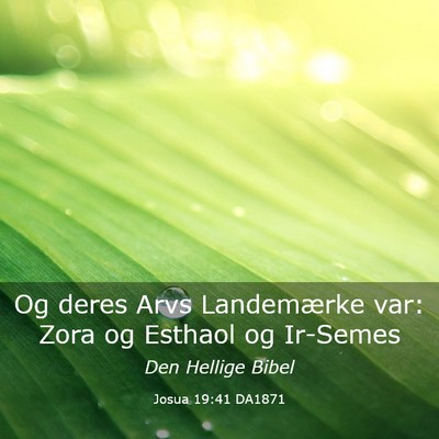 Picture 03 - Josua 19:41 DA1871 - Og deres Arvs Landemærke var: Zora og Esthaol og - Bible Verse Picture