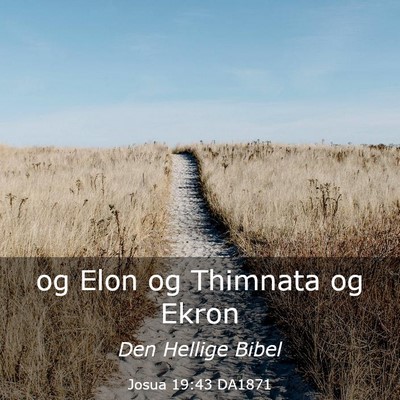 Picture 03 - Josua 19:43 DA1871 - og Elon og Thimnata og - Bible Verse Picture