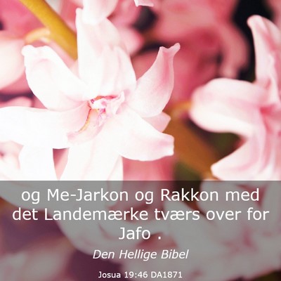 Picture 03 - Josua 19:46 DA1871 - og Me-Jarkon og Rakkon med det Landemærke tværs - Bible Verse Picture