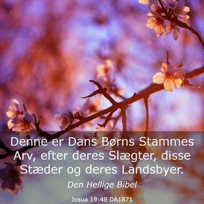 Picture 03 - Josua 19:48 DA1871 - Denne er Dans Børns Stammes Arv, efter deres - Bible Verse Picture
