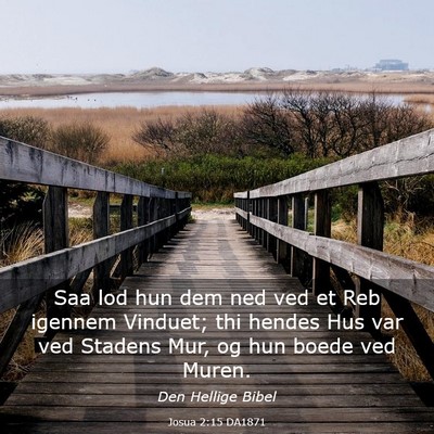 Picture 03 - Josua 2:15 DA1871 - Saa lod hun dem ned ved et Reb igennem Vinduet; - Bible Verse Picture