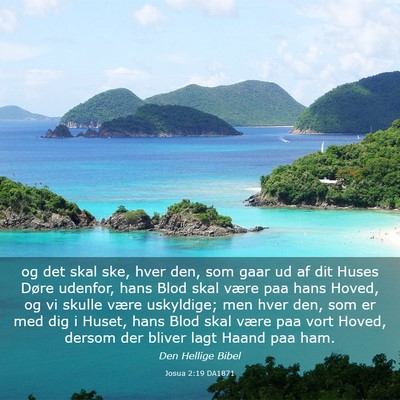 Picture 03 - Josua 2:19 DA1871 - og det skal ske, hver den, som gaar ud af dit - Bible Verse Picture