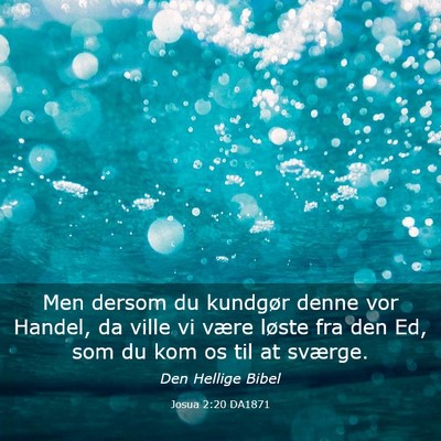 Picture 03 - Josua 2:20 DA1871 - Men dersom du kundgør denne vor Handel, da ville - Bible Verse Picture