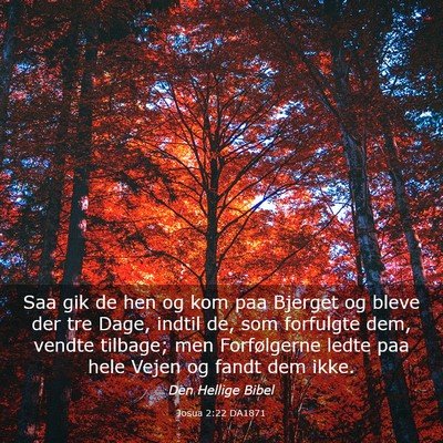 Picture 03 - Josua 2:22 DA1871 - Saa gik de hen og kom paa Bjerget og bleve der - Bible Verse Picture