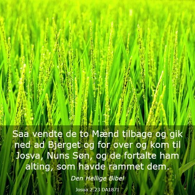 Picture 03 - Josua 2:23 DA1871 - Saa vendte de to Mænd tilbage og gik ned ad - Bible Verse Picture