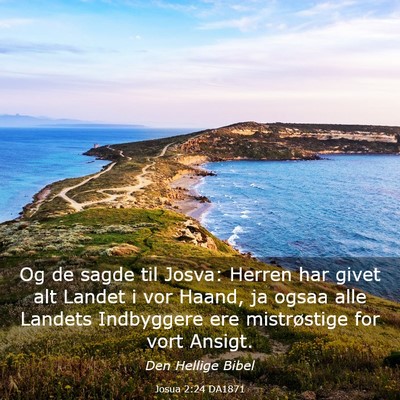 Picture 03 - Josua 2:24 DA1871 - Og de sagde til Josva: Herren har givet alt - Bible Verse Picture