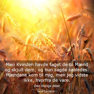Picture 03 - Josua 2:4 DA1871 - Men Kvinden havde taget de to Mænd og skjult - Bible Verse Picture