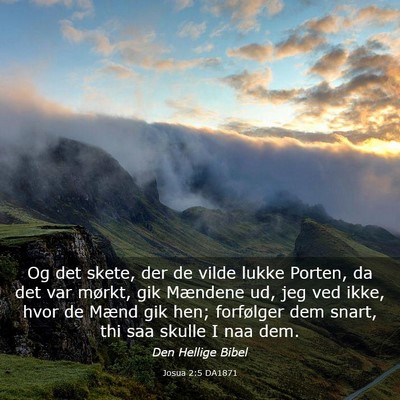 Picture 03 - Josua 2:5 DA1871 - Og det skete, der de vilde lukke Porten, da det - Bible Verse Picture