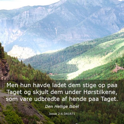 Picture 03 - Josua 2:6 DA1871 - Men hun havde ladet dem stige op paa Taget og - Bible Verse Picture