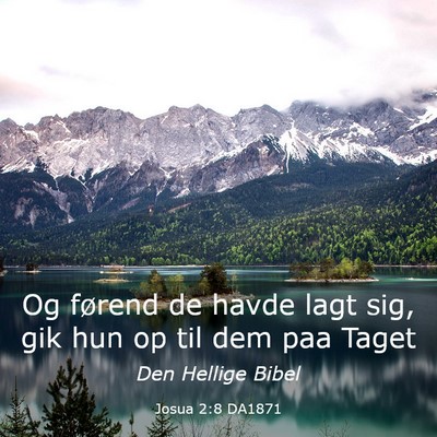 Picture 03 - Josua 2:8 DA1871 - Og førend de havde lagt sig, gik hun op til dem - Bible Verse Picture