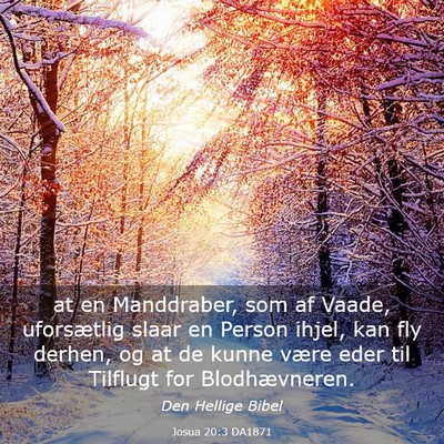Picture 03 - Josua 20:3 DA1871 - at en Manddraber, som af Vaade, uforsætlig slaar - Bible Verse Picture
