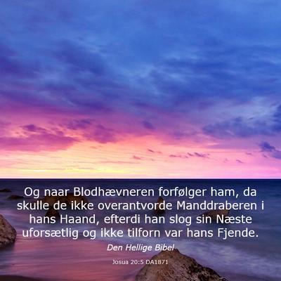 Picture 03 - Josua 20:5 DA1871 - Og naar Blodhævneren forfølger ham, da skulle - Bible Verse Picture