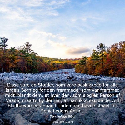 Picture 03 - Josua 20:9 DA1871 - Disse vare de Stæder, som vare beskikkede for - Bible Verse Picture