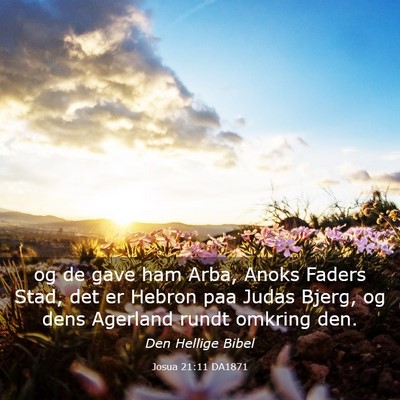 Picture 03 - Josua 21:11 DA1871 - og de gave ham Arba, Anoks Faders Stad, det er - Bible Verse Picture