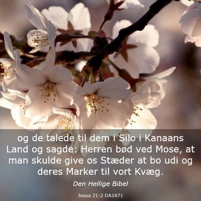 Picture 03 - Josua 21:2 DA1871 - og de talede til dem i Silo i Kanaans Land og - Bible Verse Picture