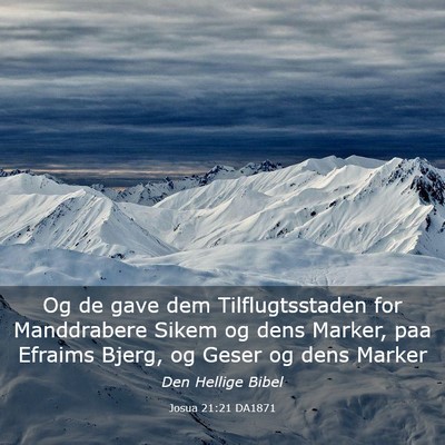Picture 03 - Josua 21:21 DA1871 - Og de gave dem Tilflugtsstaden for Manddrabere - Bible Verse Picture