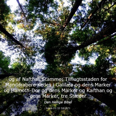 Picture 03 - Josua 21:32 DA1871 - og af Nafthali Stamme: Tilflugtsstaden for - Bible Verse Picture