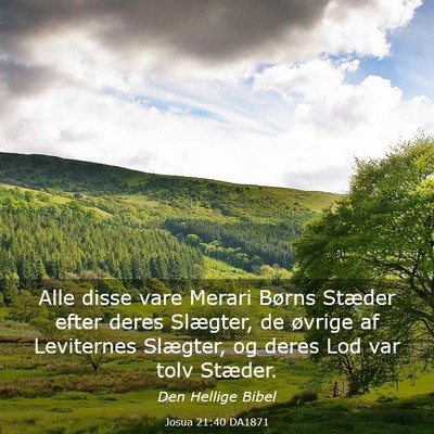 Picture 03 - Josua 21:40 DA1871 - Alle disse vare Merari Børns Stæder efter deres - Bible Verse Picture