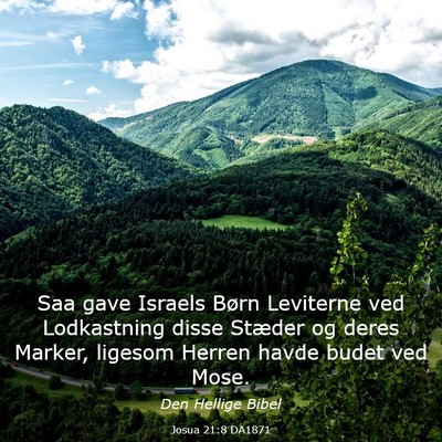 Picture 03 - Josua 21:8 DA1871 - Saa gave Israels Børn Leviterne ved Lodkastning - Bible Verse Picture
