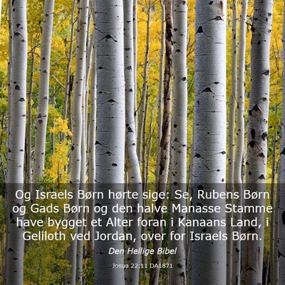 Picture 03 - Josua 22:11 DA1871 - Og Israels Børn hørte sige: Se, Rubens Børn og - Bible Verse Picture