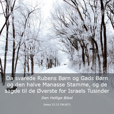 Picture 03 - Josua 22:21 DA1871 - Da svarede Rubens Børn og Gads Børn og den - Bible Verse Picture