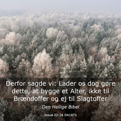 Picture 03 - Josua 22:26 DA1871 - Derfor sagde vi: Lader os dog gøre dette, at - Bible Verse Picture