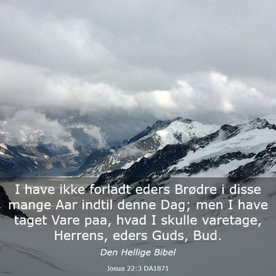 Picture 03 - Josua 22:3 DA1871 - I have ikke forladt eders Brødre i disse mange - Bible Verse Picture