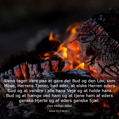 Picture 03 - Josua 22:5 DA1871 - Alene tager Vare paa at gøre det Bud og den Lov, - Bible Verse Picture