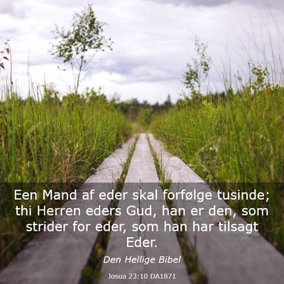 Picture 03 - Josua 23:10 DA1871 - Een Mand af eder skal forfølge tusinde; thi - Bible Verse Picture