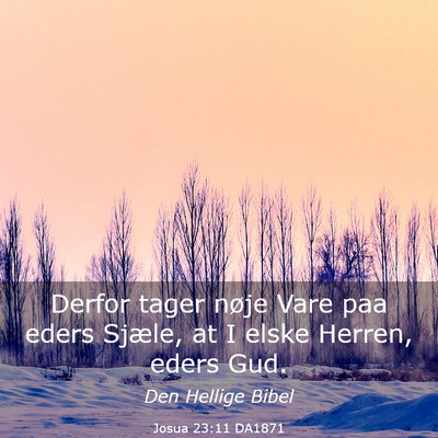 Picture 03 - Josua 23:11 DA1871 - Derfor tager nøje Vare paa eders Sjæle, at I - Bible Verse Picture