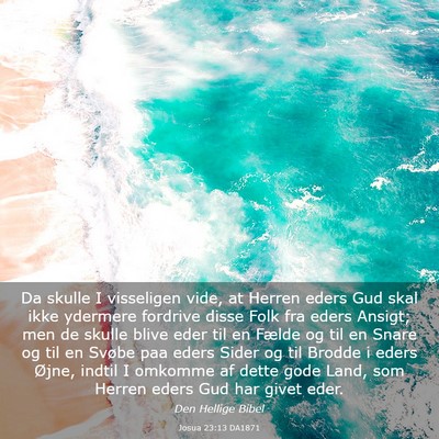 Picture 03 - Josua 23:13 DA1871 - Da skulle I visseligen vide, at Herren eders Gud - Bible Verse Picture