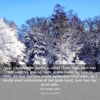 Picture 03 - Josua 23:16 DA1871 - Naar I overtræde Herrens, eders Guds Pagt, som - Bible Verse Picture