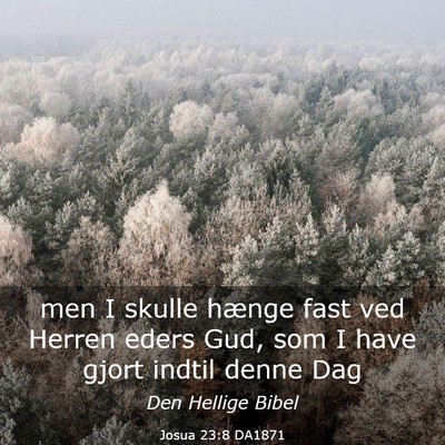 Picture 03 - Josua 23:8 DA1871 - men I skulle hænge fast ved Herren eders Gud, - Bible Verse Picture