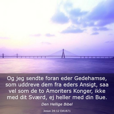 Picture 03 - Josua 24:12 DA1871 - Og jeg sendte foran eder Gedehamse, som uddreve - Bible Verse Picture