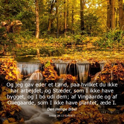 Picture 03 - Josua 24:13 DA1871 - Og jeg gav eder et Land, paa hvilket du ikke har - Bible Verse Picture