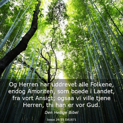 Picture 03 - Josua 24:18 DA1871 - Og Herren har uddrevet alle Folkene, endog - Bible Verse Picture