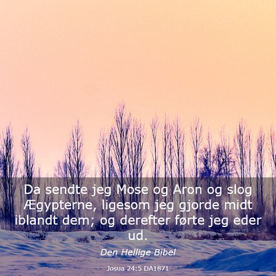 Picture 03 - Josua 24:5 DA1871 - Da sendte jeg Mose og Aron og slog Ægypterne, - Bible Verse Picture