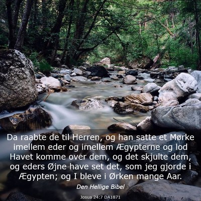 Picture 03 - Josua 24:7 DA1871 - Da raabte de til Herren, og han satte et Mørke - Bible Verse Picture