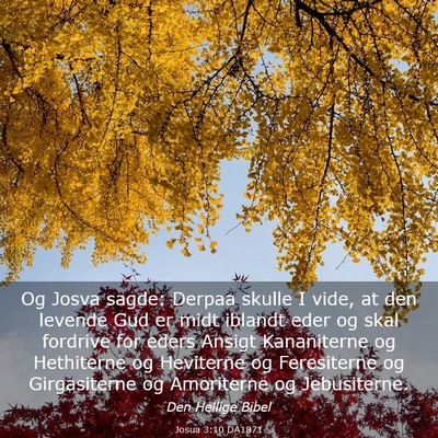 Picture 03 - Josua 3:10 DA1871 - Og Josva sagde: Derpaa skulle I vide, at den - Bible Verse Picture